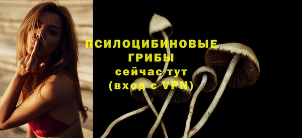 mdpv Санкт-Петербург