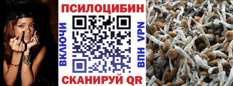OMG как зайти Сокол Галлюциногенные грибы Cubensis