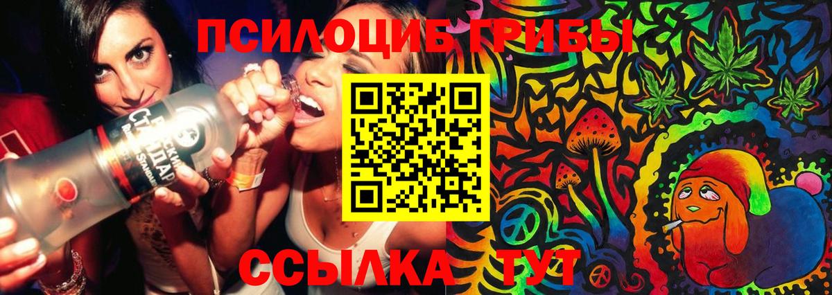 Сокол  Псилоцибиновые грибы MAGIC MUSHROOMS  Вход с VPN  Галлюциногенные грибы MAGIC MUSHROOMS 